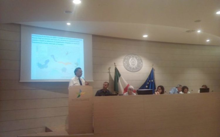 Incontro Comitato  Tecnico Roma per POGRANDE 1080x675 e1539159080198