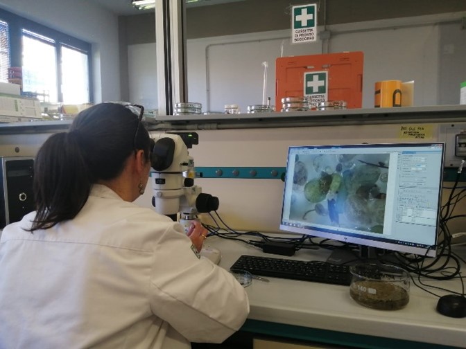 Manta River Project 2: Analisi delle plastiche presso il laboratorio di ARPAE Emilia-Romagna – Struttura oceanografica Daphne di Cesenatico