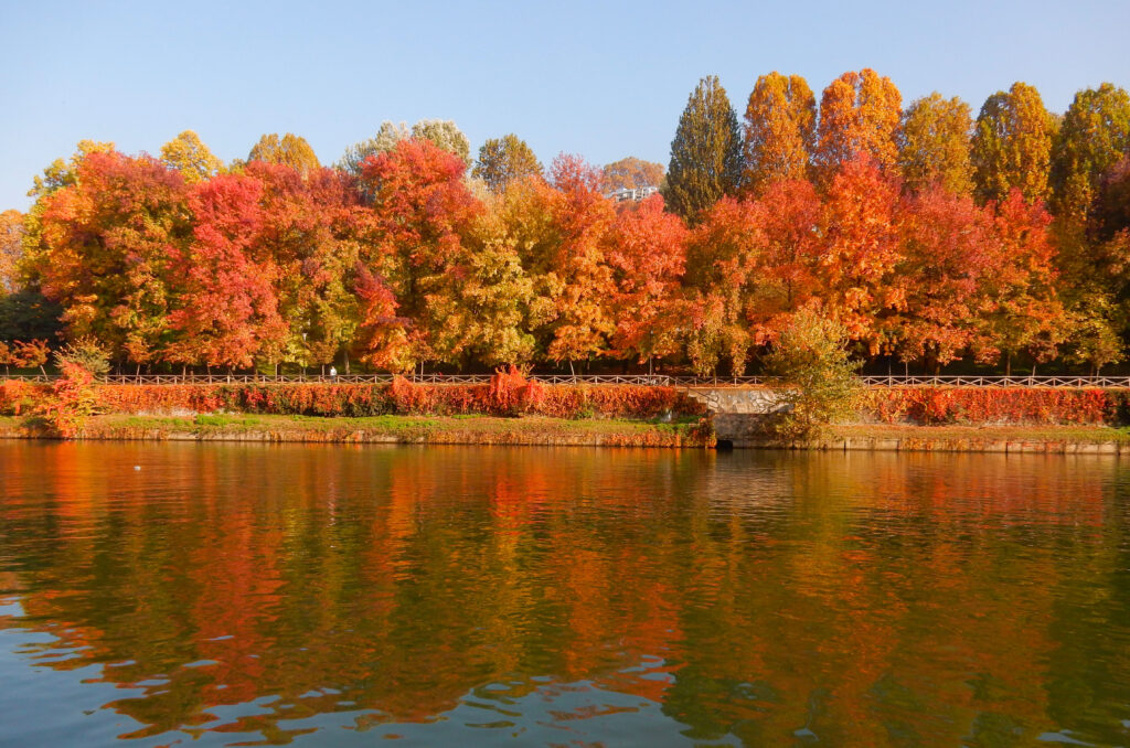 Strumenti Previsti Dallosservatorio 1024X678