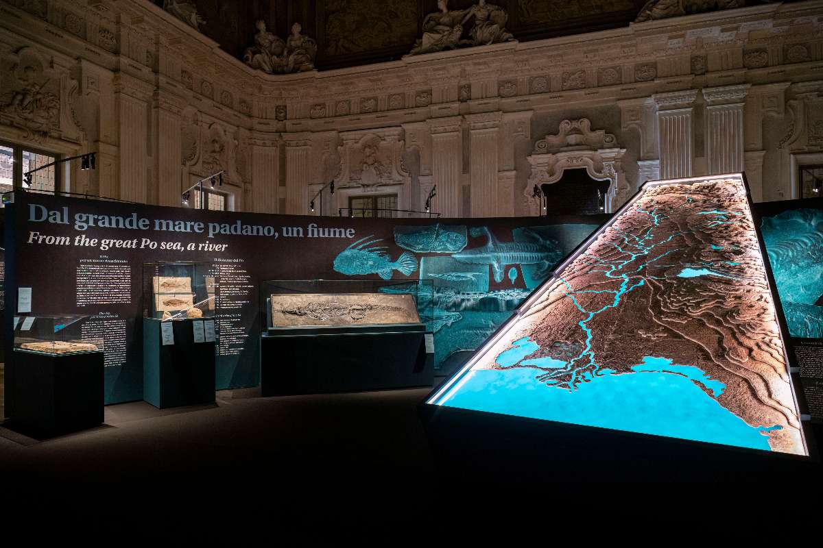 FTM Palazzo Madama CHANGE setup ph Perottino 002