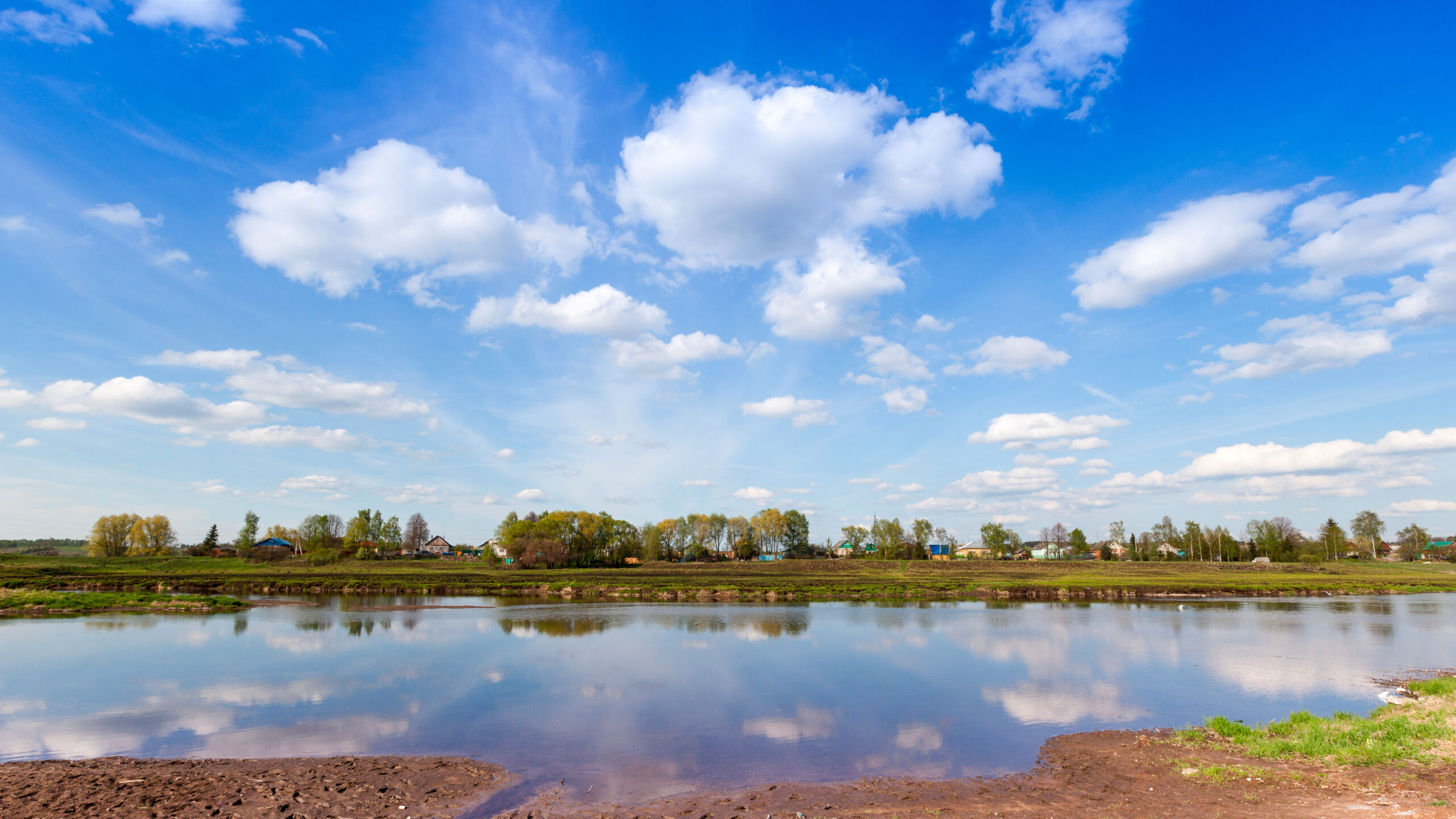 shutterstock 496183963 2 scaled