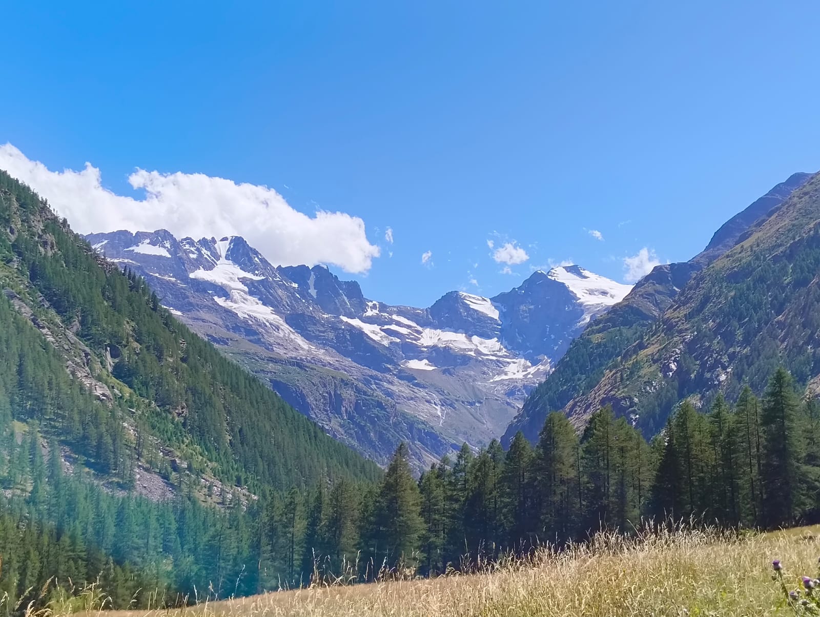Foto . Alpi