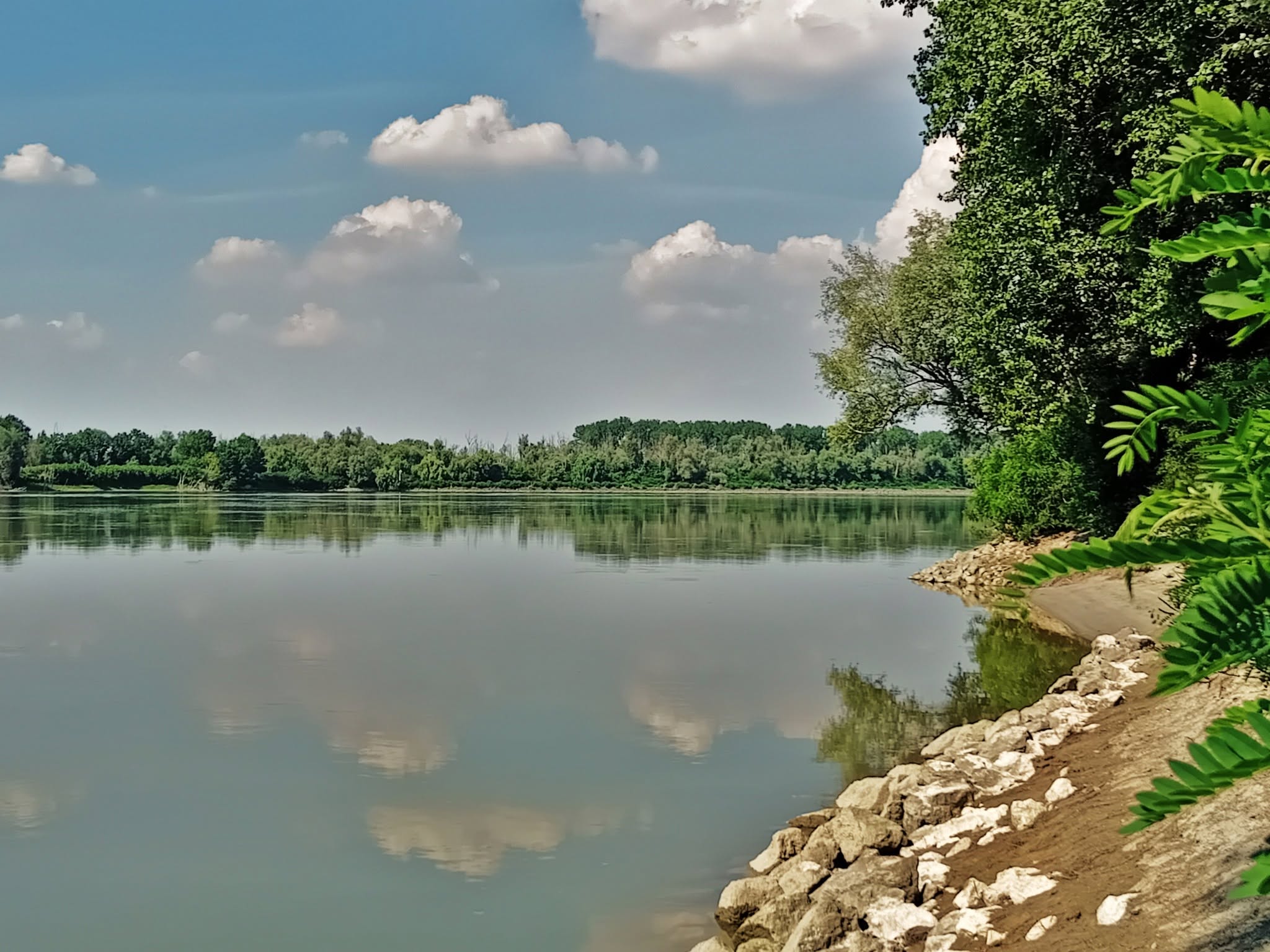 Foto Roberto Martini . Riva destra Po . Revere MN