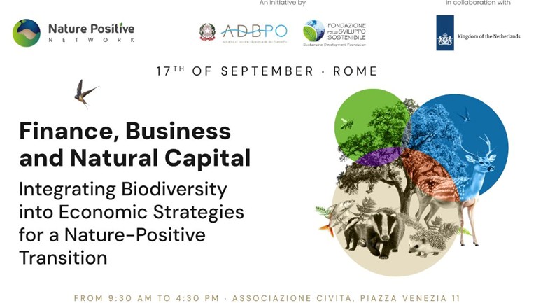 Evento 17 sett 2026 Roma